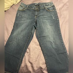 2 capri lanebryant genius fit bottoms size 14